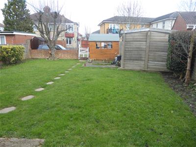 Picture 13